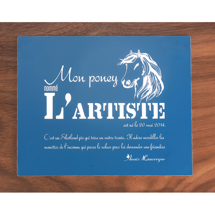 Plaque De Box Bleue - série A1