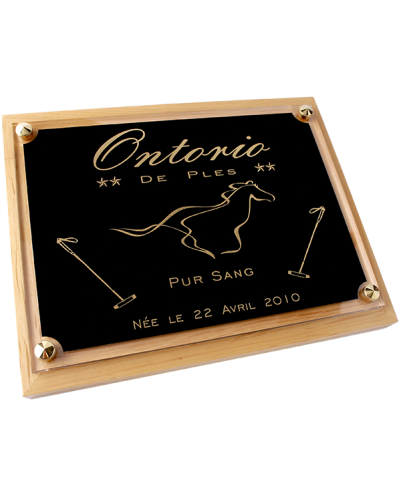 Plaque de box chevaux 240 x 180 mm noir et Or