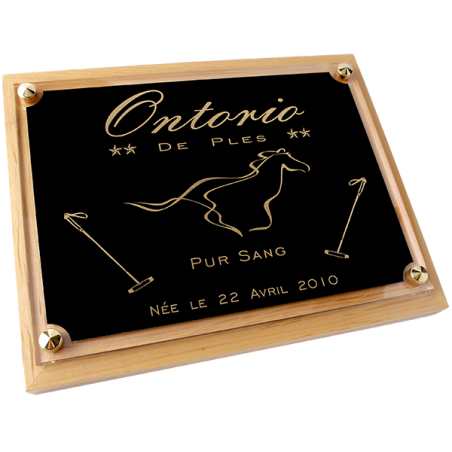 Plaque de box chevaux 240 x 180 mm noir et Or