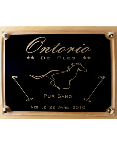 Plaque de box chevaux 240 x 180 mm noir et Or