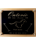 Plaque de box chevaux noir et Or - Série P