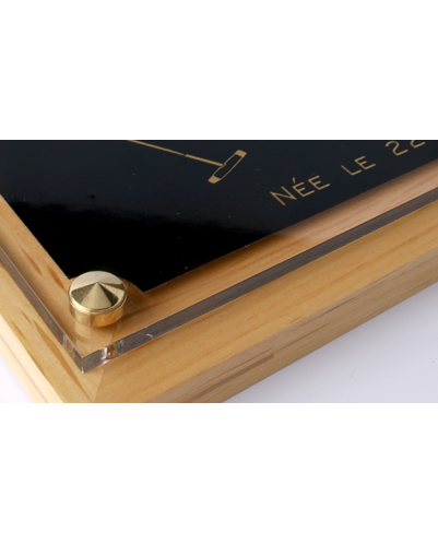 Plaque de box chevaux noir et Or - Série P