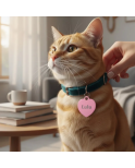 Large Heart ID Tag - Large Size, Laser Engraved for Dogs & Cats | 2cado