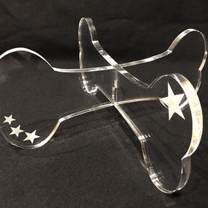 Accessoires personnalisés pour animaux