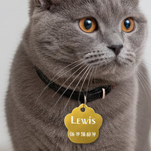 Médailles pour chat