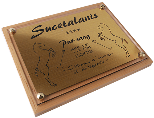 Plaque de box pour chevaux 